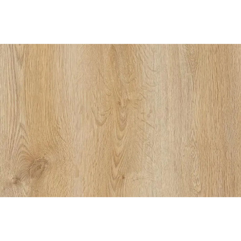 Suelo laminado N-Line biselado Roble 501 AC5 8 mm