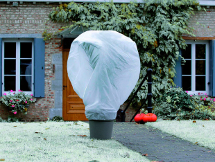 Protege a tus plantas de las heladas
